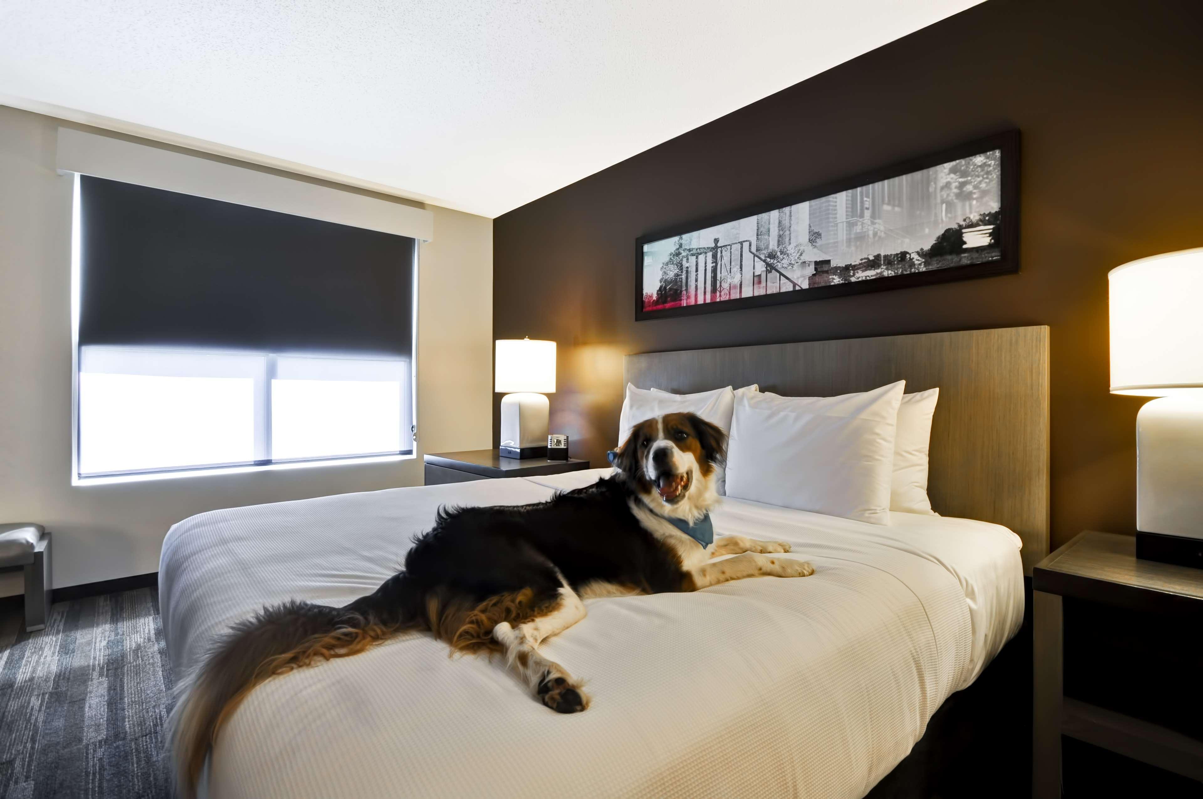 Hyatt House Atlanta Cobb Galleria Смирна Екстериор снимка