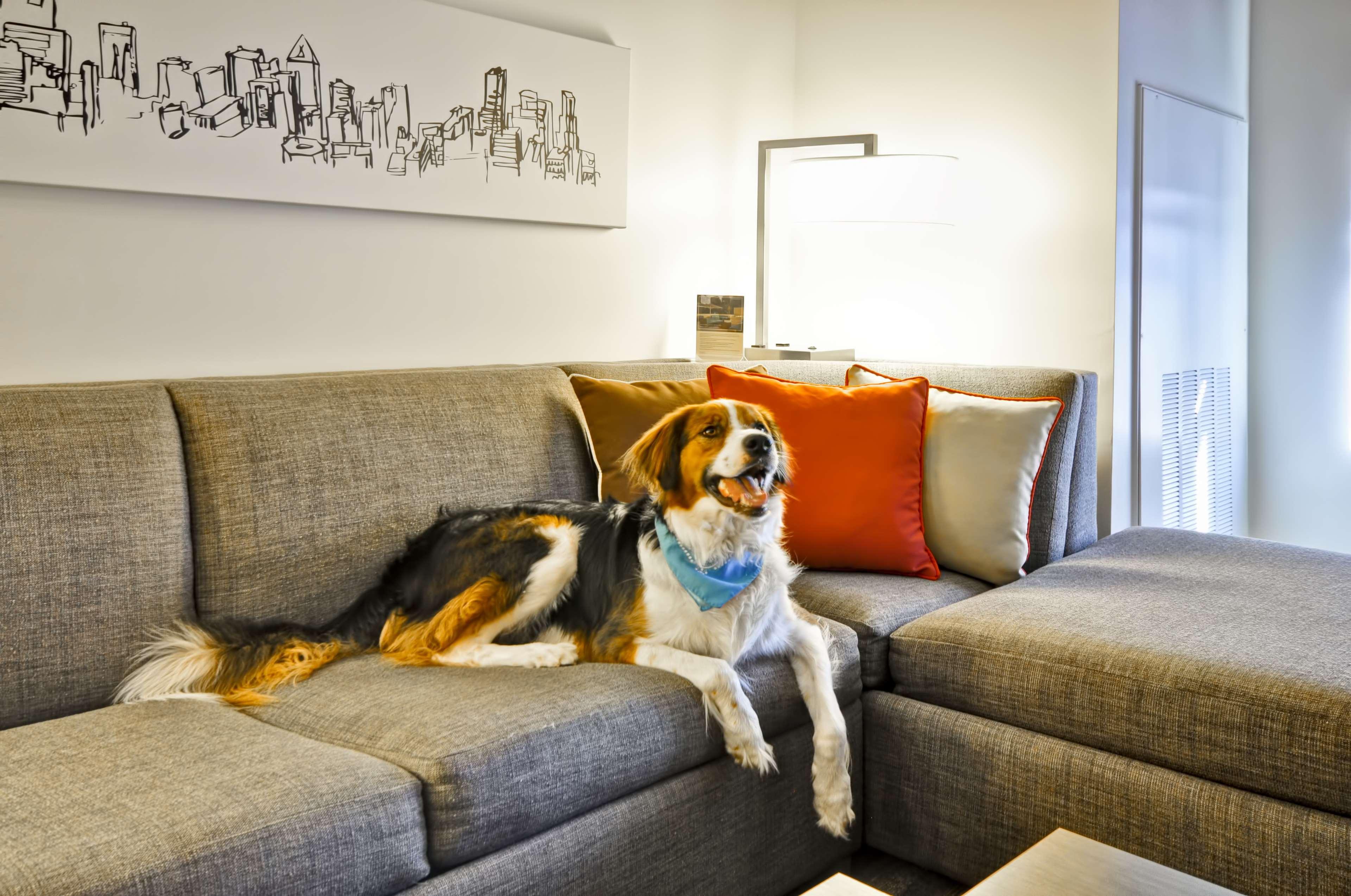 Hyatt House Atlanta Cobb Galleria Смирна Екстериор снимка