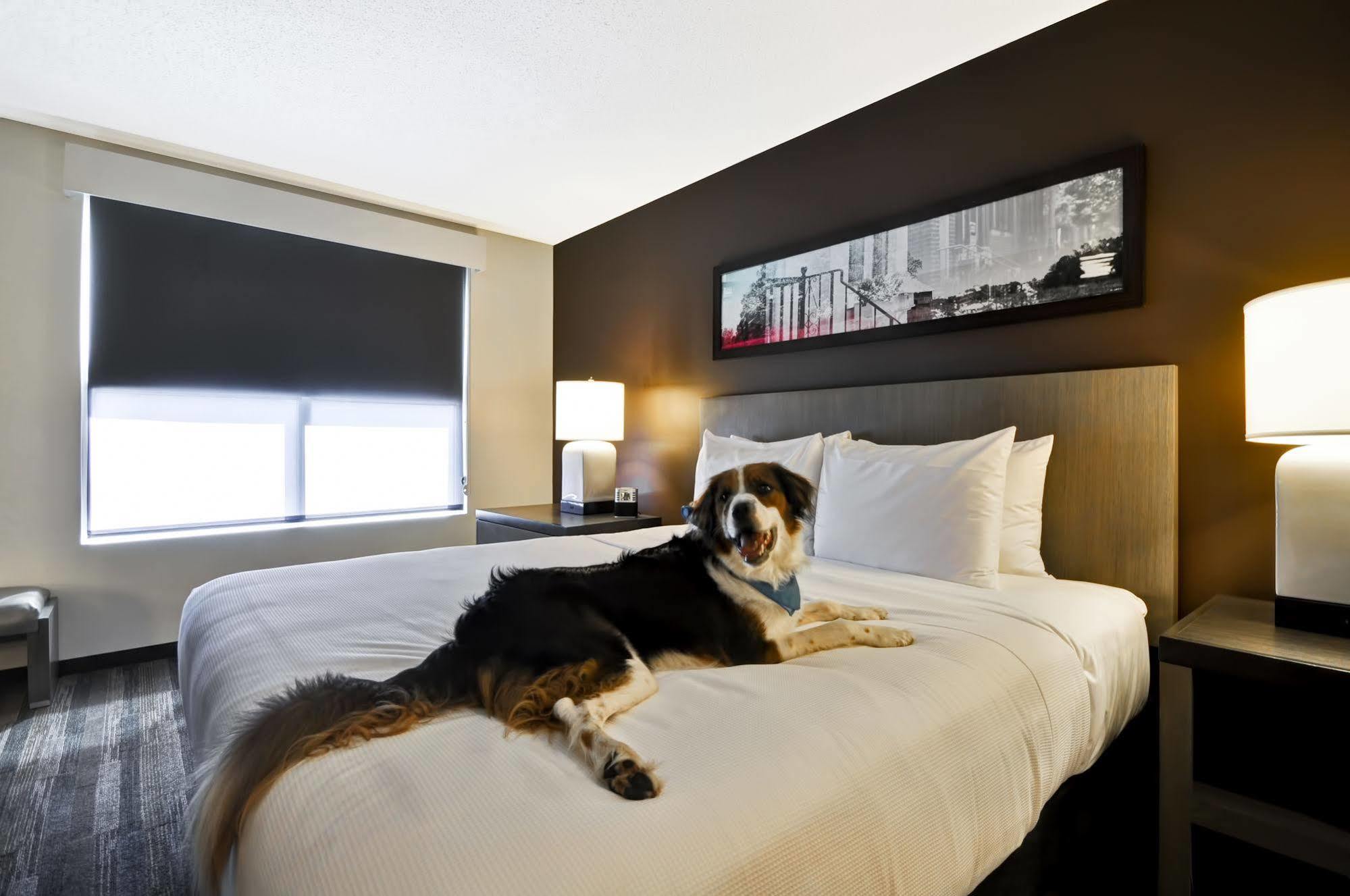 Hyatt House Atlanta Cobb Galleria Смирна Екстериор снимка